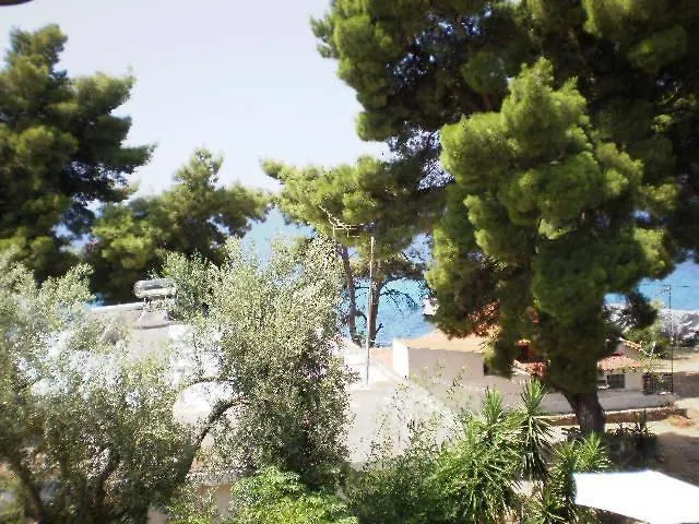 Studios Rosa Agia Paraskevi  0*, Agia Paraskevi (Kassandra)